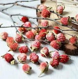 100pcs Natural Dried flower head Handpicked rose for wedding party...