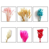 30/50X Natural Dry Bunny Tails Grass Rabbit Flowers Bunch Bouquet Plants Wedding
