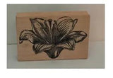 Tiger Lily Flower Rubber Floral Stamp By Magenta Large 4-3/4" New Condition!