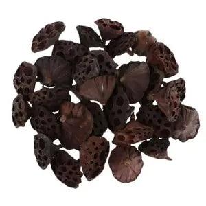 30x   Dried pod of lotus  Arrangement  Floral