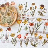 30 Pieces Beautiful Flower PET Stickers, Journal Stickers, Scrapbooking Stickers, Planner Stickers, Waterproof Stickers