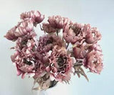 Peony Rose Flower Steam  Faux Silk Flower Dusty Pink Peonies Vintage Flowers