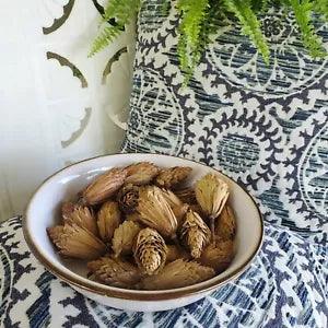 Natural Dried Tree Tulips Flowers Seeds Wreath Crafts Fall Cottage Floral Decor