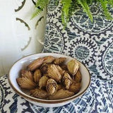 Natural Dried Tree Tulips Flowers Seeds Wreath Crafts Fall Cottage Floral Decor