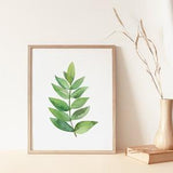 Watercolour Fern Print - Botanical Art Print - Watercolour Leaf - Leaf Wall Art - Fern Painting - Green Leaf Art Print