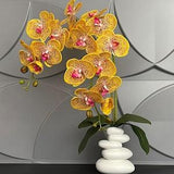 Artificial Yellow Orchid Phalaenopsis in Handmade Vase Real Touch Silk Flowers Branch Faux Plant for Indoor Fake potted arrange