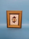 DRIED FLOWERS WALL ART UNDER GLASS  GOLD wood  FRAME Ireland