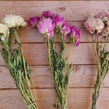 Dried peonies for weddings, dried peony bouquet, dried peony bunch, dried flowers for vase, rose substitute, peonies, pink peony