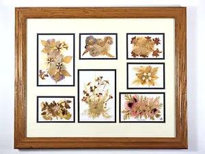 VTG 1998 Signed Matted and Framed Pressed Dried Flower Art Sampler 18.5" X 22.5"