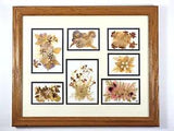 VTG 1998 Signed Matted and Framed Pressed Dried Flower Art Sampler 18.5" X 22.5"