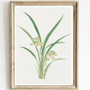 Orchid Vintage Print-Flowers Orchid Antique Watercolor Art-Orchid Vintage Print-Botanical French Country Art Print-Antique Flowers Art Print