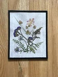 Framed pressed flower art in black frame 8.5 x 10.5???