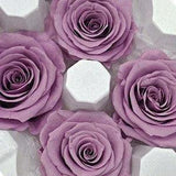Large Roses in Sweet Lilac Japanese Preserved, Home D¡§?cor, DIY Flower Arrangements, Wedding Decorations, Rose Gift