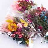 1 Bag Mix Dried Flowers Random Dry Flower Craft Decoration Natural Floral Flower