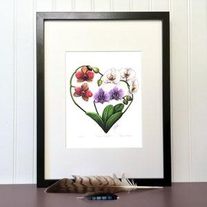 Art print - Heart of Orchids -  10 x 8 in - Signed, limited edition giclee on coton paper - Botanical, Exotic Flowers, Nature Illustration.