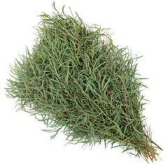 Wholesale Eucalyptus ? buy bulk eucalyptus in FiftyFlowers Flower Delivery