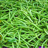 50 Bean Seeds - Organic Blue Lake Pole Green Bean Vegetable Garden Seeds, Open-Pollinated, Non-GMO, Heirloom seeds, Grown in Canada
