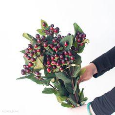 Navy and Wine Flower Packages | Pinterest-Style Mood Boards Flower Delivery