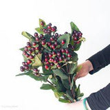 Navy and Wine Flower Packages | Pinterest-Style Mood Boards Flower Delivery