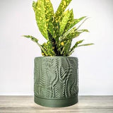Dark Green Olive Pot, Ripple Planter with Drainage