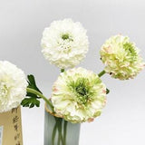 Fake Ranunculus Stem, Buttercup with Leaves, Artificial Flowers, Home Floral Decor, Wedding Party Arrangement Centerpiece, for Bouquet, Gift