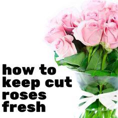 How to Keep Roses Fresh Flower Delivery