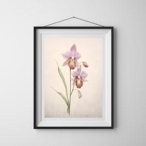 Pink Orchid Printable Wall Art, Watercolor Orchid Prints, Minimalist Flower Art, Floral Painting, Flower Room Decor, Vintage Flower Prints