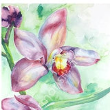 Pink Dendrobium Nobile Orchid Flower Plant Watercolor Painting Gicl???e Print