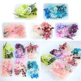Dried Flowers DIY Specimen Real Plant Craft Candle Pendant Jewelry Making Decor