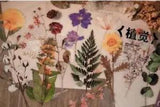 Retro Dried Flowers PET Sticker