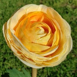 Peach/ranunculus/artificial/flower stem/permanent botanical/flower arranging/center pieces/weddings/bouquets/wreath making/home decor/floral