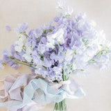 10 +seeds Sweet Pea ?? Royal Lavender ?? Lathyrus odoratus