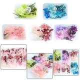Dried Flower Material Floral For DIY Jewelry Epoxy Resin Art Craft Making Decor