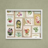 Vintage Seed Packet Illustration - Gardening Themed Watercolour Art Print - Art by Alicia's Infinity