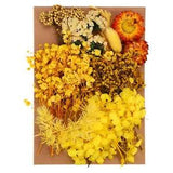 Natural Dried Flowers Multiple Real Dried Pressed Flowers Plant Yellow Style