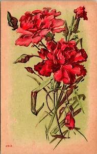 Pink Flower Rose Carnation Blooming Stemmed Postcard used (15261)