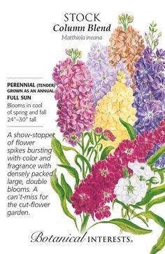 Column Blend Stock Seeds - 100 Milligrams Flower Delivery