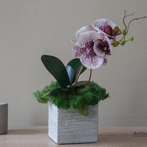 Artificial orchid in concrete pot. Faux small orchid plant