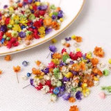 200pc Real Dried Flower Diy Nail Decor Craft Resin Candle Making JewelleryFiller