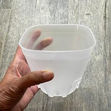 5??? round cornered clear square orchid pot, Clear plastic pot, Clear pot for succulents, Clear pot for medium orchids, Pots for cactus