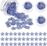 Natural Forget-Me-Not Dried Flowers Don'T Forget Me Dried Flower Real Dried Pres