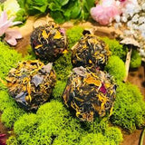 Pollinator Seeds ~ Botanical Bee Bombs ~ Wildflower Seed Bomb ~ Floral & Herbal Seeds ~ Organic Seeds ~ Easy Planting  ~ Bee Garden ~ Gift