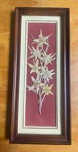 Swiss Edelweiss Dried Flowers Wall Hanging Switzerland