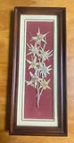 Swiss Edelweiss Dried Flowers Wall Hanging Switzerland
