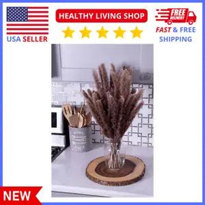 Elegant 18 Inch Small Pampas Grass Decor - Ideal for Home Office & Weddings 30ct