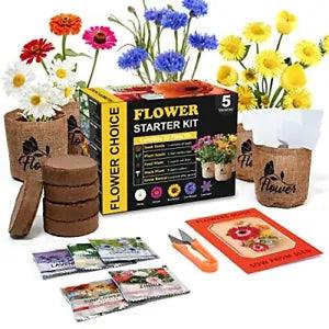 Indoor Daisy Garden Starter Kit, 5 Non-GMO Flower Seeds Planting Set Gardening