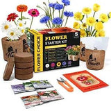 Indoor Daisy Garden Starter Kit, 5 Non-GMO Flower Seeds Planting Set Gardening