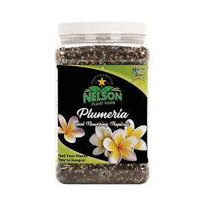 Nelson Plumeria Plant and All Flowering Tropicals Food Ferns Orchids Lilys In...