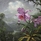 Hummingbird Perched on the Orchid Plant Painting by Martin Johnson Heade Art Reproduction