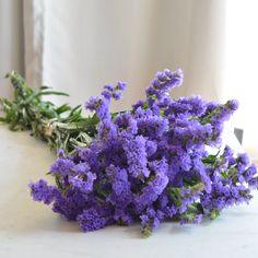 Blue Statice Flower | DIY Wedding Flowers | Flower Moxie Flower Delivery